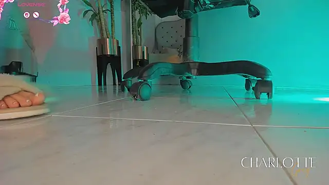 charlotte  grey online show from February 24, 8:21 pm