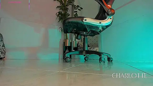 charlotte  grey online show from November 20, 8:42 pm