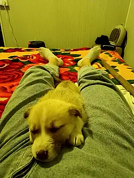 arenn1997 online show from January 9, 12:17 am