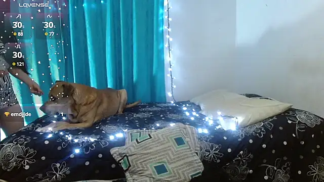 cristina connor online show from February 10, 2:19 am