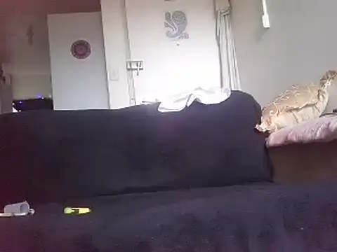 QueenMilf36 online show from December 27, 5:31 am