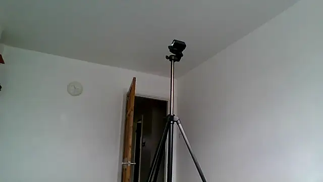 jimmybenido online show from October 8, 10:17 am