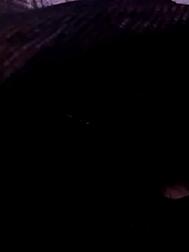 TonyLungas online show from September 26, 3:19 pm