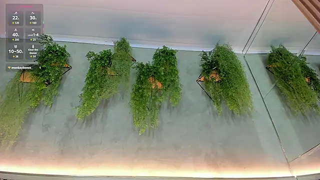 Snapshot of Lana_Lann chatting on September 22, 12:00 pm Lana Lann online show from September 22, 12:00 pm