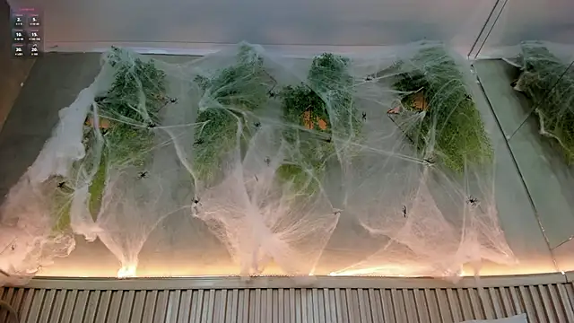 Snapshot of Lana_Lann chatting on October 20, 1:44 pm Lana Lann online show from October 20, 1:44 pm