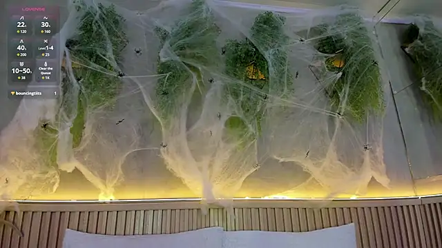 Snapshot of Lana_Lann chatting on October 25, 12:50 pm Lana Lann online show from October 25, 12:50 pm