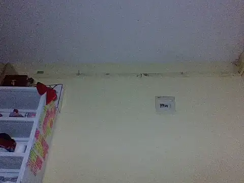 hot nina online show from December 3, 12:33 am