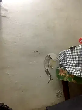 Snapshot of funpharoh1 chatting on November 10, 7:41 pm funpharoh1 online show from November 10, 7:41 pm