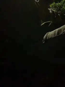 Snapshot of funpharoh1 chatting on November 2, 6:51 am funpharoh1 online show from November 2, 6:51 am