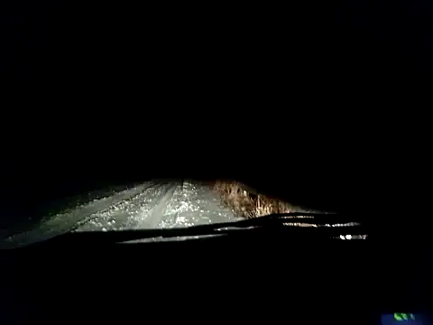 dlvczegonie online show from February 17, 4:59 pm