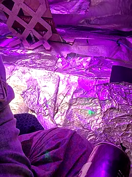 Snapshot of thecoolarrow chatting on September 10, 5:06 am thecoolarrow online show from September 10, 5:06 am