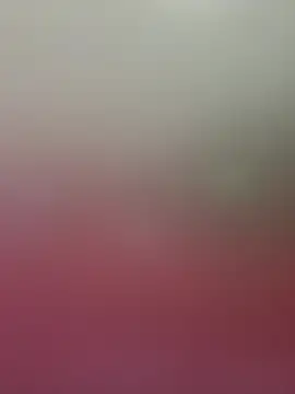 CarolaDrago online show from March 15, 5:14 am