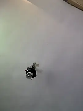 Brando2585 online show from April 3, 1:39 pm