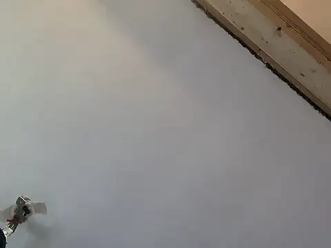 Brando2585 online show from March 7, 2:00 pm