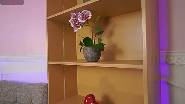 Anybuny online show from November 7, 11:59 am