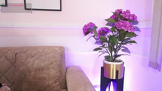 Anybuny online show from December 18, 12:09 pm