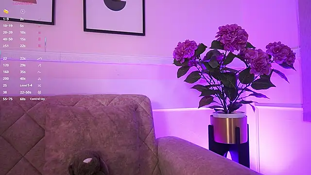 Anybuny online show from February 4, 11:38 am