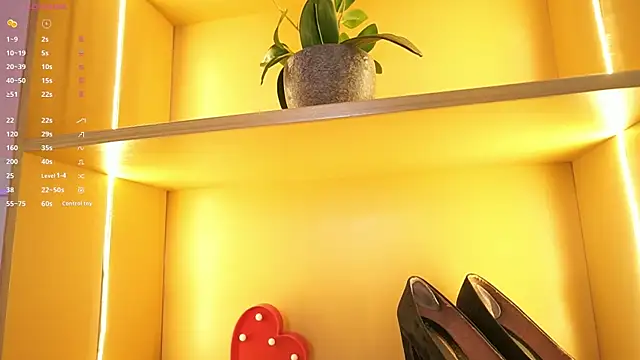 Anybuny online show from November 13, 12:42 pm