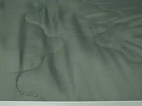 VenDee online show from November 7, 7:40 pm