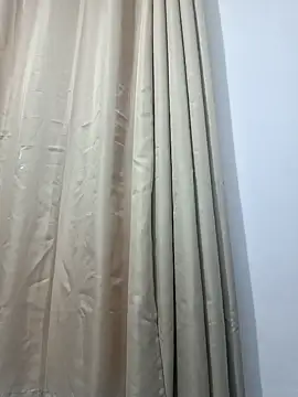 Pietro novin online show from January 29, 11:25 pm