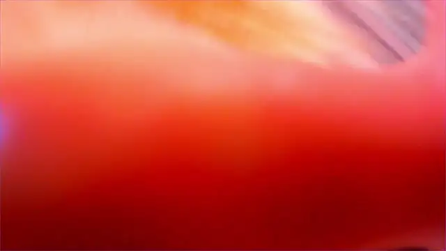 Eva Davi online show from March 23, 3:06 am