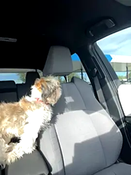 Snapshot of SafeinouterSpace chatting on November 26, 9:37 pm SafeinouterSpace online show from November 26, 9:37 pm