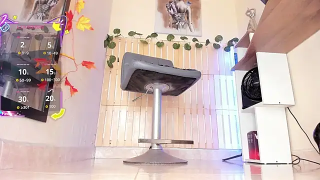 thais dreams online show from February 11, 12:27 pm