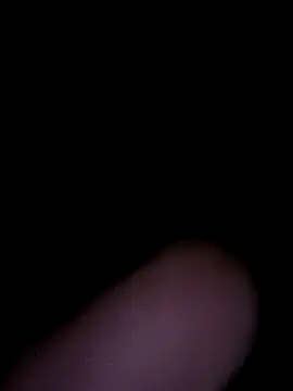 Off the Lesh online show from January 15, 4:54 pm