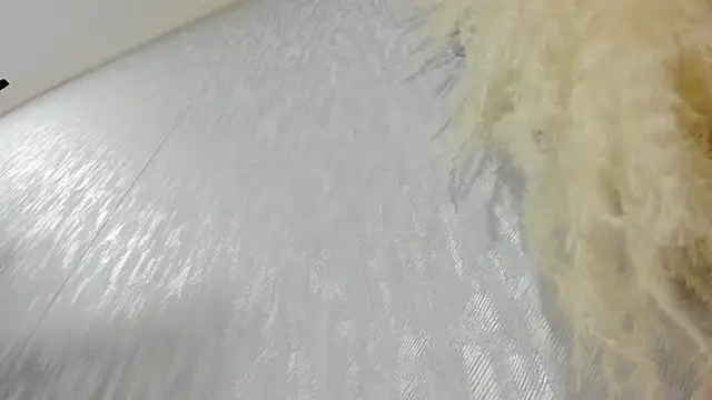 Lissalittlee online show from October 22, 7:57 pm