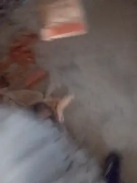 Snapshot of Kurtsikici@xh chatting on November 5, 2:53 pm Kurtsikicixh online show from November 5, 2:53 pm