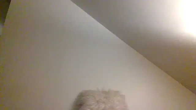 AllLeggs online show from December 9, 7:39 am