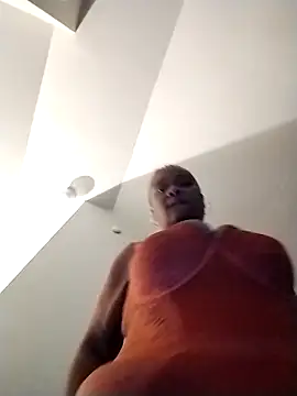 AllLeggs online show from February 25, 6:47 am