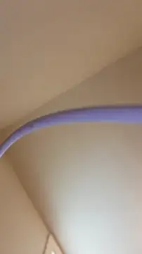 AllLeggs online show from May 21, 3:53 pm