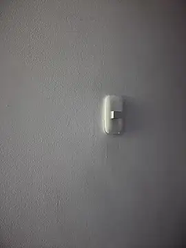 carolina  star online show from November 17, 2:26 am