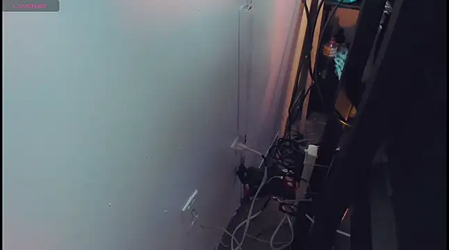 caribbean passion  online show from March 26, 1:04 am