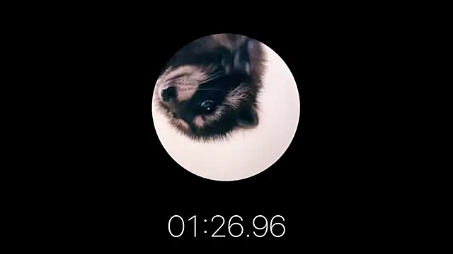 les mod sc2 online show from February 12, 1:59 pm