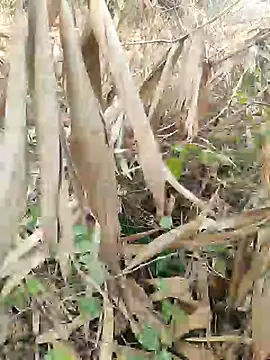 Snapshot of Young_couple143 chatting on February 27, 5:51 am Young couple143 online show from February 27, 5:51 am