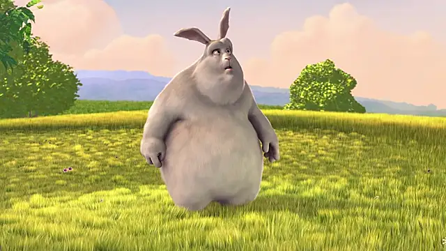 streamy test11 online show from October 10, 5:08 am