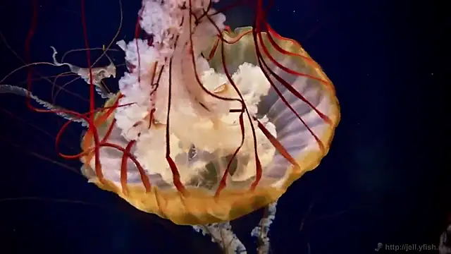 Snapshot of streamy_test12 chatting on December 4, 1:54 pm streamy test12 online show from December 4, 1:54 pm