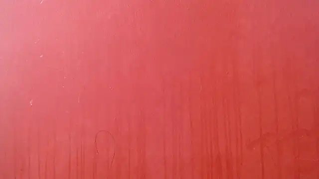 Freyja eter online show from January 7, 7:41 pm