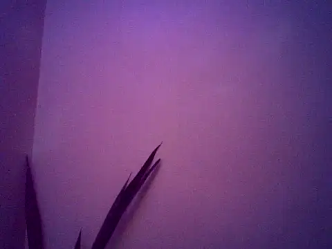 Malandralle online show from November 25, 5:30 am