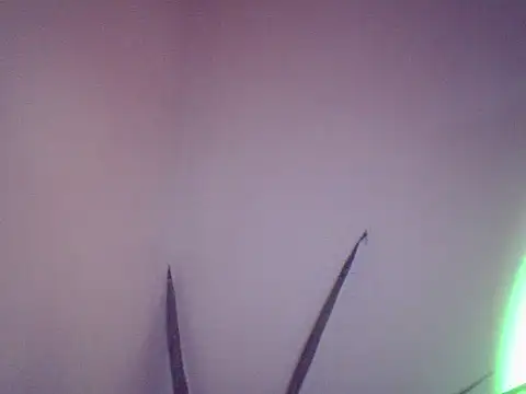 Snapshot of Malandralle chatting on December 1, 5:47 pm Malandralle online show from December 1, 5:47 pm