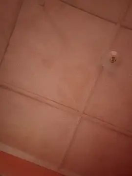 bebsexy online show from December 14, 12:55 pm