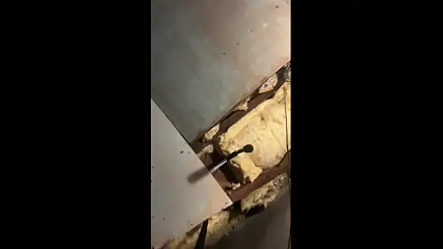 Snapshot of Manwhorxxlcock chatting on March 3, 10:33 am Manwhorxxlcock online show from March 3, 10:33 am