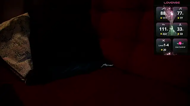 Snapshot of ohpetitemuse chatting on January 4, 11:06 pm ohpetitemuse online show from January 4, 11:06 pm