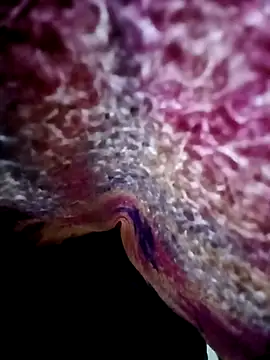 morenogts69 online show from October 24, 1:32 pm