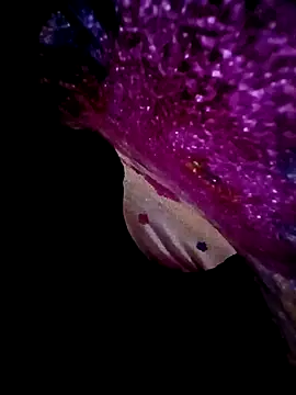 morenogts69 online show from September 23, 10:00 am