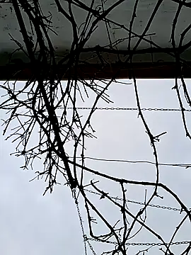 SexyNicool35 online show from April 9, 5:42 am