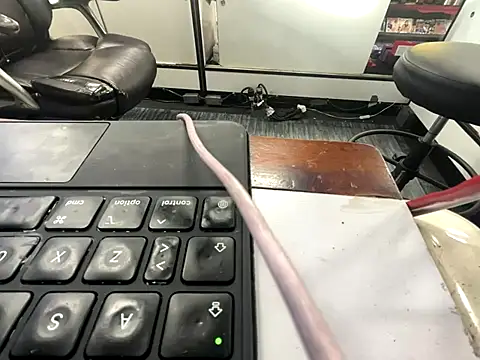 RawRyder8 online show from December 13, 10:16 pm