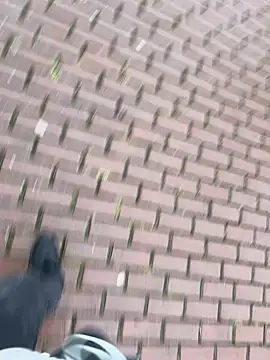 0maxx00 online show from December 19, 2:13 pm